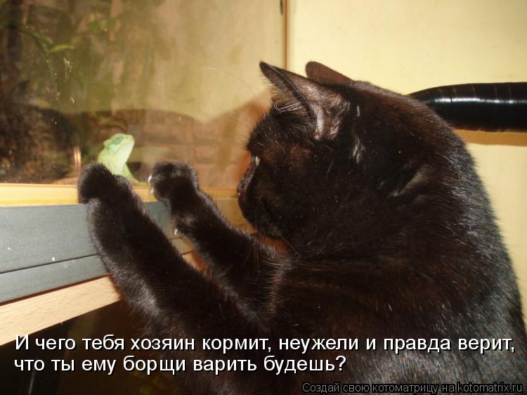 А ты не путай путай ты а не