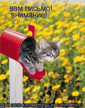 вам письмо! внимание!... Котоматрица: вам письмо! внимание!