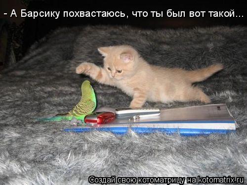 - А Барсику похвастаюсь, что ты был вот такой...... Котоматрица: - А Барсику похвастаюсь, что ты был вот такой...