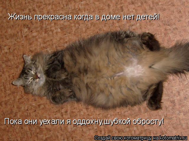 Жизнь прекрасна когда в доме нет детей! Пока они уехали я оддохну,шубкой обросту!... Котоматрица: Жизнь прекрасна когда в доме нет детей! Пока они уехали я оддохну,шубкой обросту!