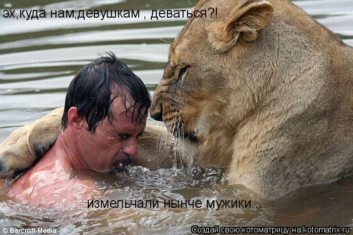 эх,куда нам,девушкам , деваться?! измельчали нынче мужики...... Котоматрица: эх,куда нам,девушкам , деваться?! измельчали нынче мужики...