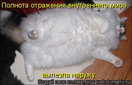 Полнота отражения внутреннего мира вылезла наружу...... Котоматрица: Полнота отражения внутреннего мира вылезла наружу...