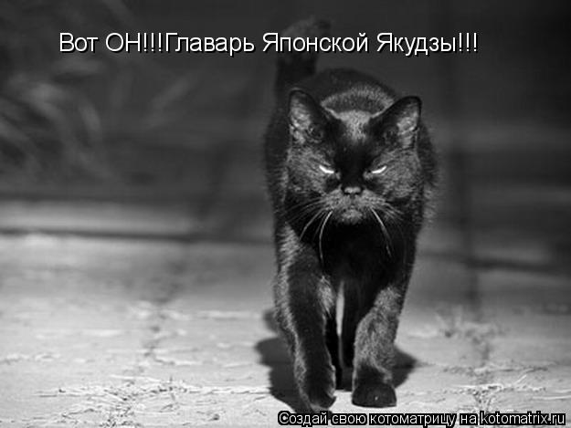 Вот ОН!!!Главарь Японской Якудзы!!!... Котоматрица: Вот ОН!!!Главарь Японской Якудзы!!!