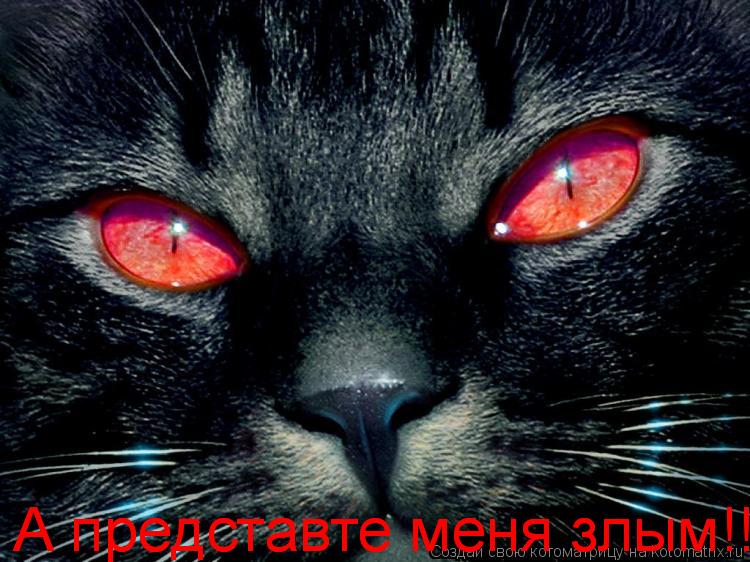 А представте меня злым!!! А представте меня злым!!!... Котоматрица: А представте меня злым!!! А представте меня злым!!!