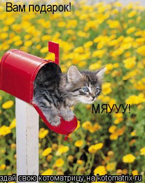 Вам подарок! МЯУУУ!... Котоматрица: Вам подарок! МЯУУУ!