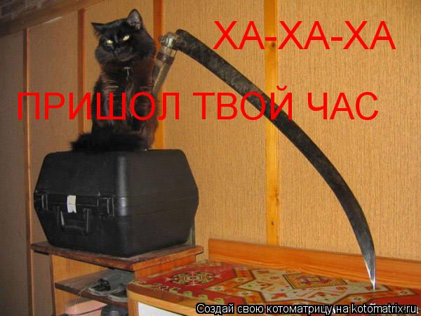 ПРИШОЛ ТВОЙ ЧАС ХА-ХА-ХА... Котоматрица: ПРИШОЛ ТВОЙ ЧАС ХА-ХА-ХА