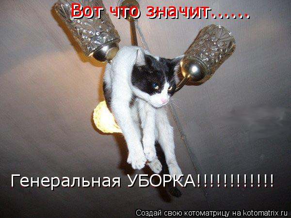 Вот что значит...... Вот что значит...... Генеральная УБОРКА!!!!!!!!!!!! Генеральная УБОРКА!!!!!!!!!!... Котоматрица: Вот что значит...... Вот что значит...... Генеральная УБОРКА!!!!!!!!!!!! Генеральная УБОРКА!!!!!!!!!!!!