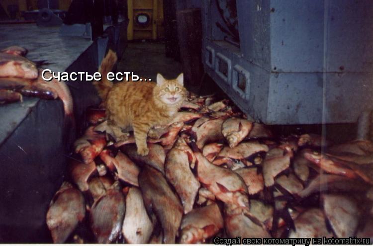 Счастье есть...... Котоматрица: Счастье есть...