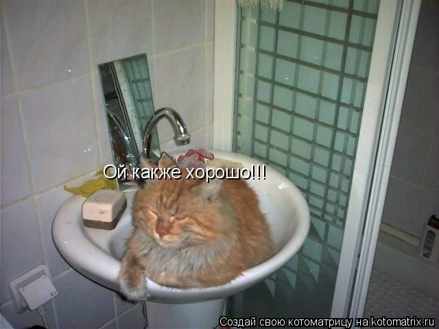Ой какже хорошо!!!... Котоматрица: Ой какже хорошо!!!