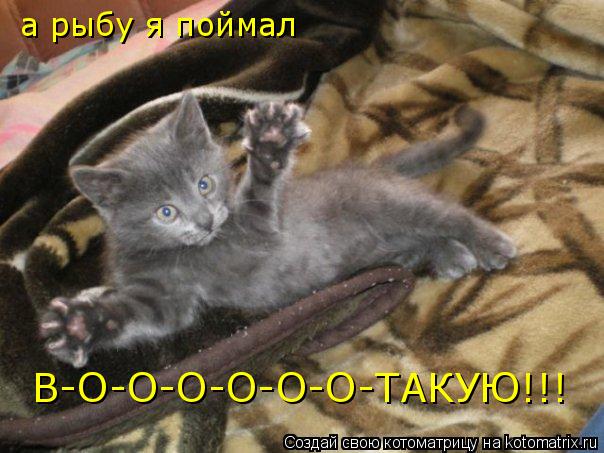 а рыбу я поймал В-О-О-О-О-О-О-ТАКУЮ!!!... Котоматрица: а рыбу я поймал В-О-О-О-О-О-О-ТАКУЮ!!!