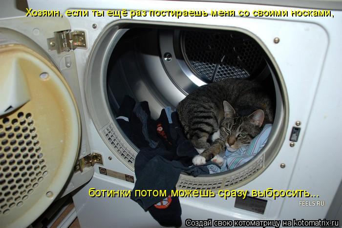 ботинки потом можешь сразу выбросить... Хозяин, если ты ещё раз постираешь меня со своими носками,... Котоматрица: ботинки потом можешь сразу выбросить... Хозяин, если ты ещё раз постираешь меня со своими носками,