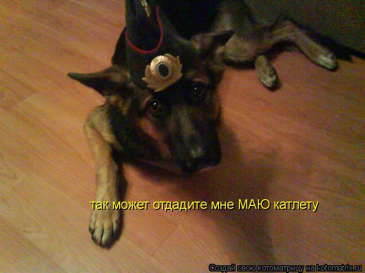так может отдадите мне МАЮ катлету... Котоматрица: так может отдадите мне МАЮ катлету