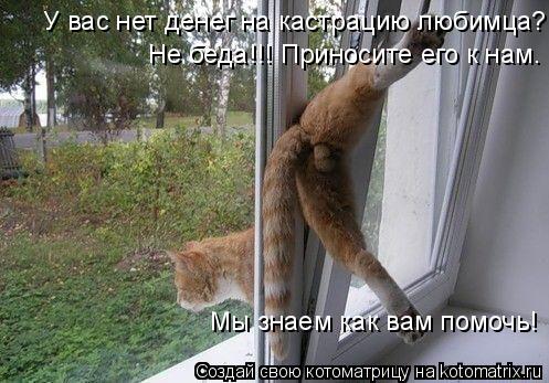 У вас нет денег на кастрацию любимца? Не беда!!! Приносите его к нам. Мы знаем как вам помочь! Не бед... Котоматрица: У вас нет денег на кастрацию любимца? Не беда!!! Приносите его к нам. Мы знаем как вам помочь! Не беда!!! Приносите его к нам. Мы знаем как вам по