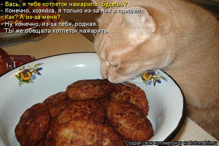 - Конечно, хозяйка, я только из-за них и пришёл… - Ну, конечно, из-за тебя, родная. ТЫ же обещала кот... Котоматрица: - Конечно, хозяйка, я только из-за них и пришёл… - Ну, конечно, из-за тебя, родная. ТЫ же обещала котлеток нажарить. - Вась, я тебе котлеток нажар