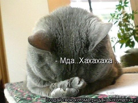 - Мда..Хахахаха ...... Котоматрица: - Мда..Хахахаха ...