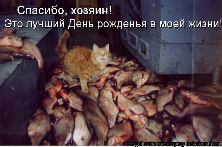 Спасибо, хозяин! Это лучший День рожденья в моей жизни!... Котоматрица: Спасибо, хозяин! Это лучший День рожденья в моей жизни!