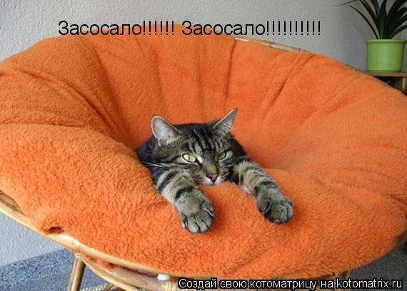 Засосало!!!!!! Засосало!!!!!!!!!!... Котоматрица: Засосало!!!!!! Засосало!!!!!!!!!!