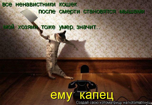 все ненавистники кошек после смерти становятся мышами мой хозяин тоже умер, значит... ему ка... Котоматрица: все ненавистники кошек после смерти становятся мышами мой хозяин тоже умер, значит... ему капец