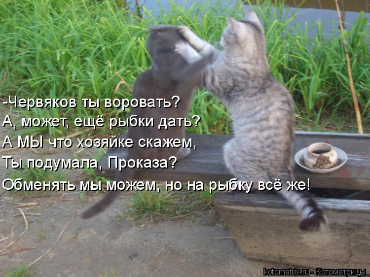 -Червяков ты воровать? А, может, ещё рыбки дать? А МЫ что хозяйке скажем, Ты подумала, Проказа? Обмен... Котоматрица: -Червяков ты воровать? А, может, ещё рыбки дать? А МЫ что хозяйке скажем, Ты подумала, Проказа? Обменять мы можем, но на рыбку всё же!