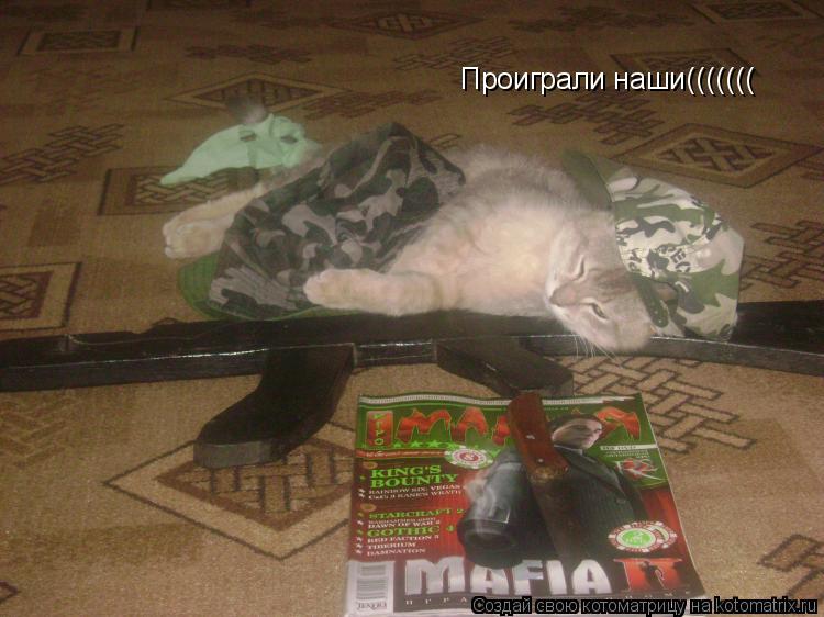 Проиграли наши(((((((... Котоматрица: Проиграли наши(((((((
