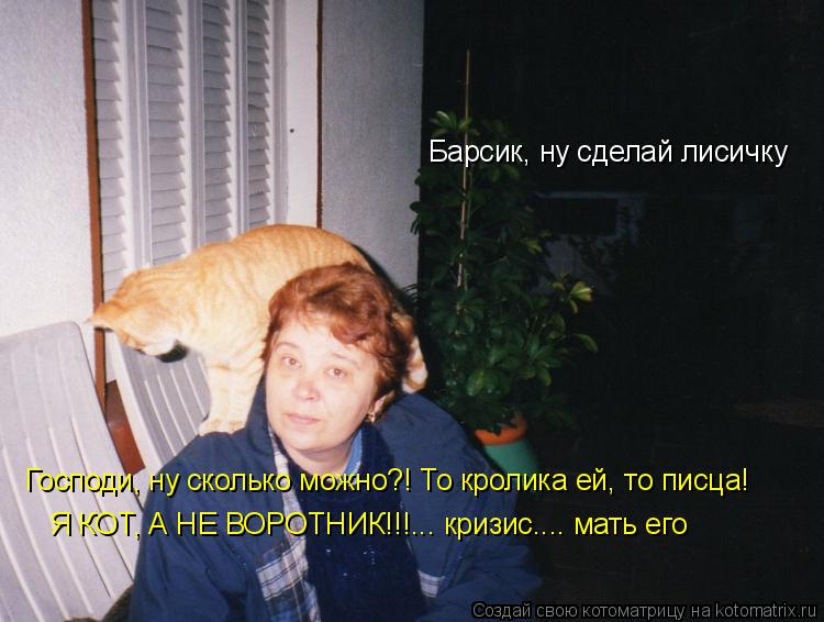 Барсик, ну сделай лисичку Господи, ну сколько можно?! То кролика ей, то писца! Я КОТ, А НЕ ВОРОТНИК!!... Котоматрица: Барсик, ну сделай лисичку Господи, ну сколько можно?! То кролика ей, то писца! Я КОТ, А НЕ ВОРОТНИК!!!... кризис.... мать его