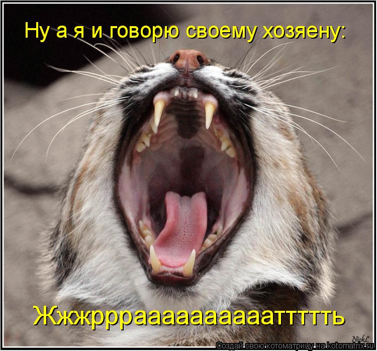 Жжжрррааааааааааттттть Ну а я и говорю своему хозяену:... Котоматрица: Жжжрррааааааааааттттть Ну а я и говорю своему хозяену: