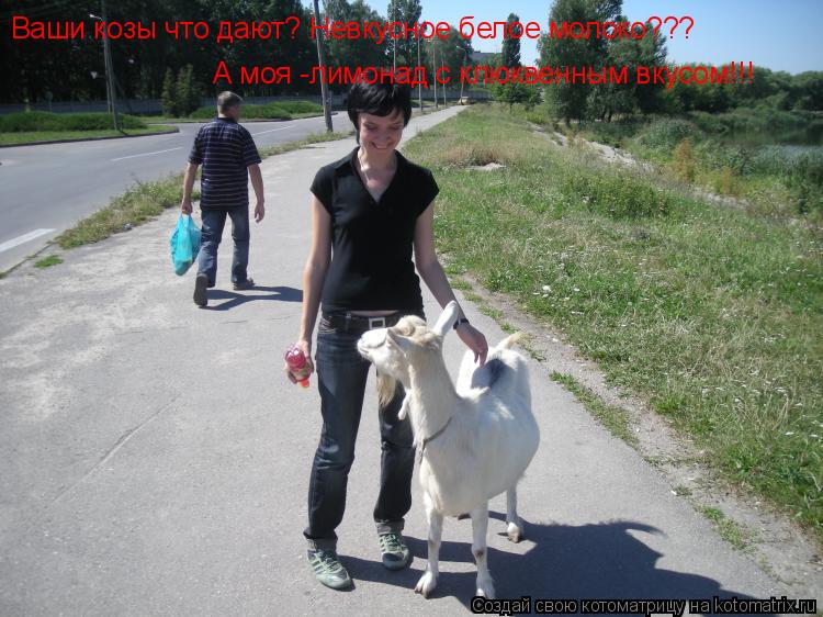 Ваши козы что дают? Невкусное белое молоко??? А моя -лимонад с клюквенным вкусом!!!... Котоматрица: Ваши козы что дают? Невкусное белое молоко??? А моя -лимонад с клюквенным вкусом!!!