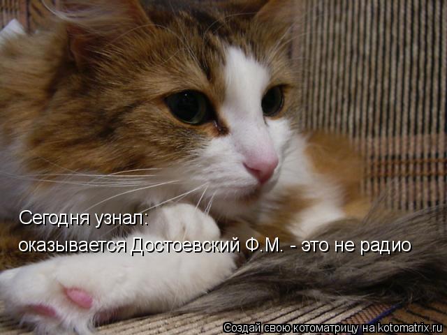 оказывается Достоевский Ф.М. - это не радио Сегодня узнал:... Котоматрица: оказывается Достоевский Ф.М. - это не радио Сегодня узнал:
