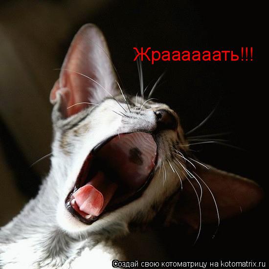 Жраааааать!!!... Котоматрица: Жраааааать!!!