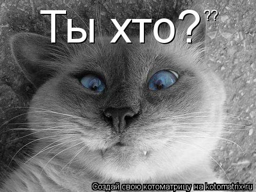 Ты хто? ??... Котоматрица: Ты хто? ??