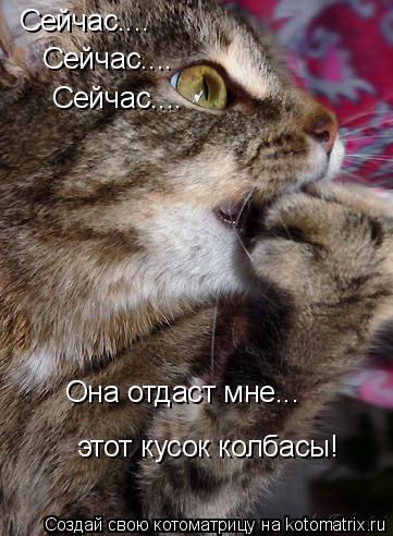 Сейчас.... Сейчас.... Сейчас.... Она отдаст мне... этот кусок колбасы!... Котоматрица: Сейчас.... Сейчас.... Сейчас.... Она отдаст мне... этот кусок колбасы!