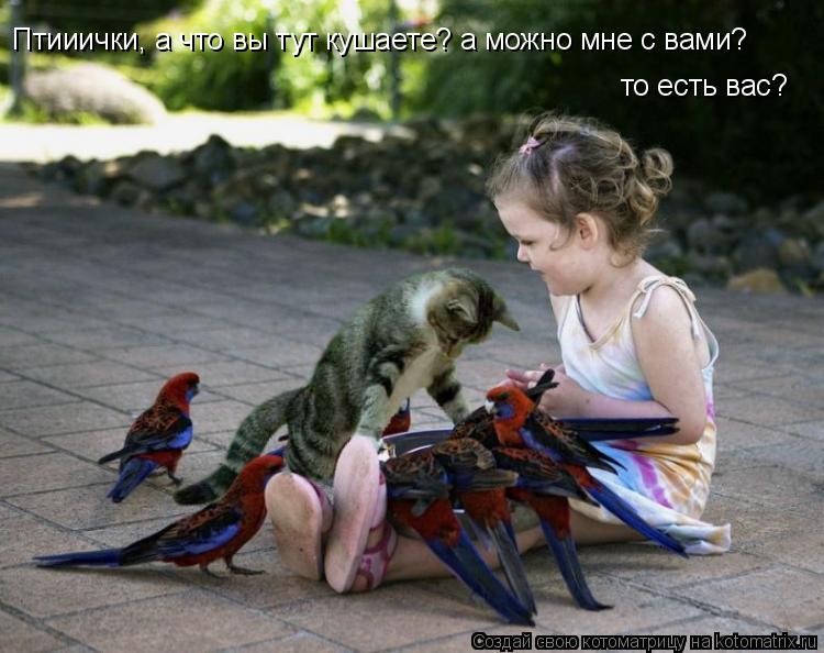 Птииички, а что вы тут кушаете? а можно мне с вами? то есть вас?... Котоматрица: Птииички, а что вы тут кушаете? а можно мне с вами? то есть вас?
