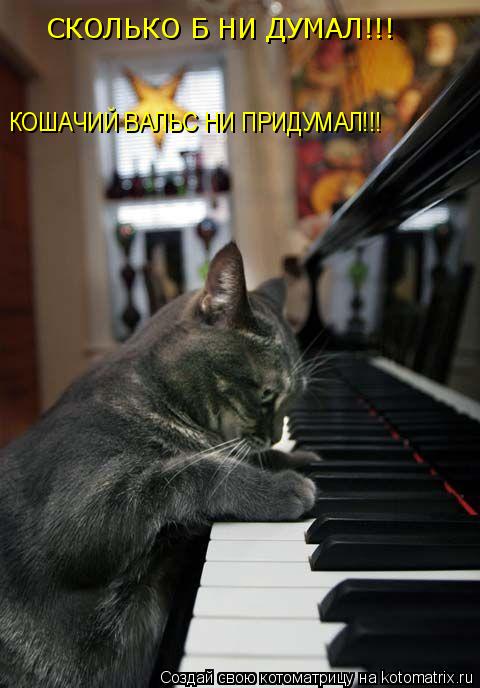 КОШАЧИЙ ВАЛЬС НИ ПРИДУМАЛ!!! СКОЛЬКО Б НИ ДУМАЛ!!!... Котоматрица: КОШАЧИЙ ВАЛЬС НИ ПРИДУМАЛ!!! СКОЛЬКО Б НИ ДУМАЛ!!!