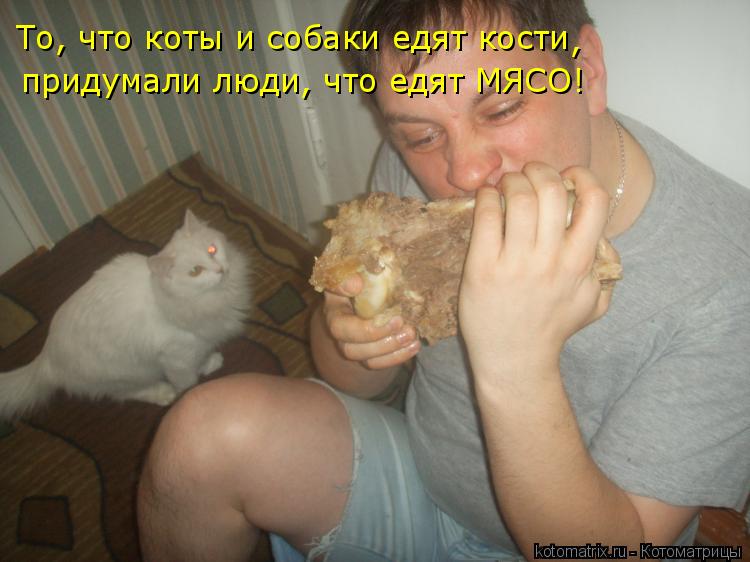 То, что коты и собаки едят кости придумали люди, что едят МЯСО! ,... Котоматрица: То, что коты и собаки едят кости придумали люди, что едят МЯСО! ,