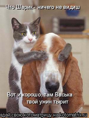 Что Шарик - ничего не видиш Вот и хорошо, там Васька твой ужин тырит... Котоматрица: Что Шарик - ничего не видиш Вот и хорошо, там Васька твой ужин тырит