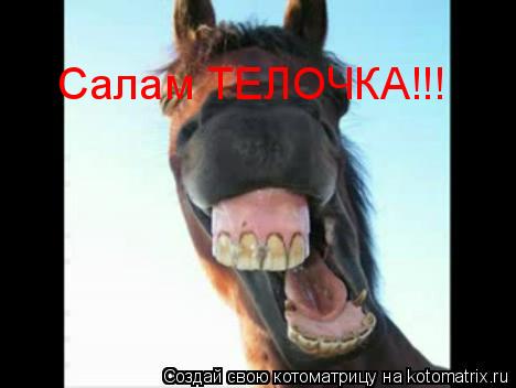 Салам ТЕЛОЧКА!!!... Котоматрица: Салам ТЕЛОЧКА!!!