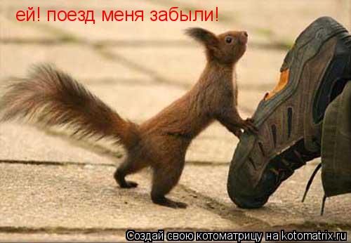 ей! поезд меня забыли!... Котоматрица: ей! поезд меня забыли!