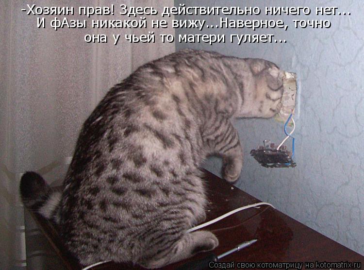 -Хозяин прав! Здесь действительно ничего нет... И фАзы никакой не вижу...Наверное, точно она у чьей т... Котоматрица: -Хозяин прав! Здесь действительно ничего нет... И фАзы никакой не вижу...Наверное, точно она у чьей то матери гуляет...