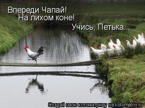 Впереди Чапай! Впереди Чапай! На лихом коне! Учись, Петька...... Котоматрица: Впереди Чапай! Впереди Чапай! На лихом коне! Учись, Петька...