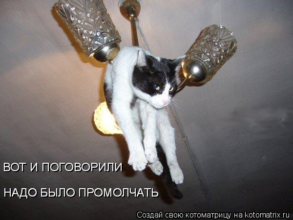 ВОТ И ПОГОВОРИЛИ НАДО БЫЛО ПРОМОЛЧАТЬ НАДО БЫЛО ПРОМОЛЧАТЬ... Котоматрица: ВОТ И ПОГОВОРИЛИ НАДО БЫЛО ПРОМОЛЧАТЬ НАДО БЫЛО ПРОМОЛЧАТЬ