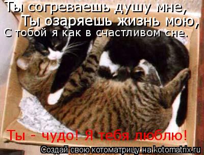Ты согреваешь душу мне, Ты озаряешь жизнь мою, Ты озаряешь жизнь мою, С тобой я как в счастливом с... Котоматрица: Ты согреваешь душу мне, Ты озаряешь жизнь мою, Ты озаряешь жизнь мою, С тобой я как в счастливом сне. Ты - чудо! Я тебя люблю!