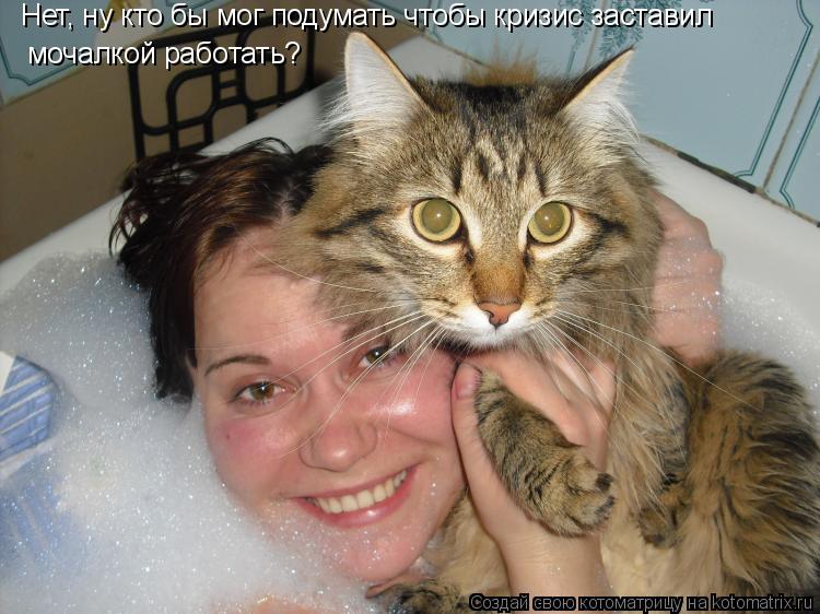 Нет, ну кто бы мог подумать чтобы кризис заставил мочалкой работать?... Котоматрица: Нет, ну кто бы мог подумать чтобы кризис заставил мочалкой работать?