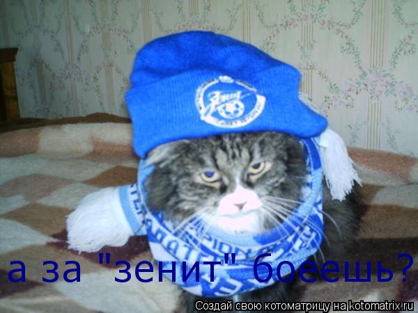 а за "зенит" боеешь?... Котоматрица: а за "зенит" боеешь?