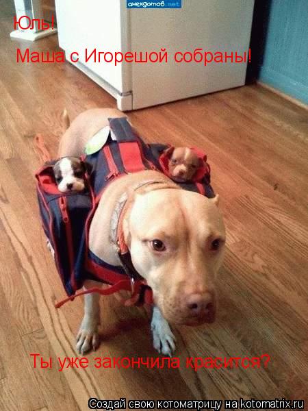Юль! Маша с Игорешой собраны! Ты уже закончила красится?... Котоматрица: Юль! Маша с Игорешой собраны! Ты уже закончила красится?