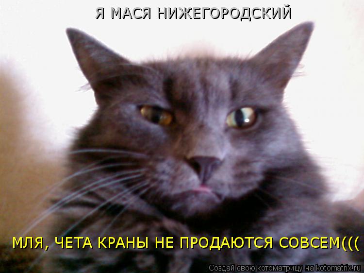 МЛЯ, ЧЕТА КРАНЫ НЕ ПРОДАЮТСЯ СОВСЕМ((( Я МАСЯ НИЖЕГОРОДСКИЙ... Котоматрица: МЛЯ, ЧЕТА КРАНЫ НЕ ПРОДАЮТСЯ СОВСЕМ((( Я МАСЯ НИЖЕГОРОДСКИЙ