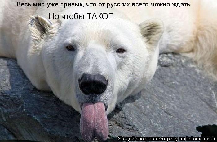 Весь мир уже привык, что от русских всего можно ждать Но чтобы ТАКОЕ...... Котоматрица: Весь мир уже привык, что от русских всего можно ждать Но чтобы ТАКОЕ...