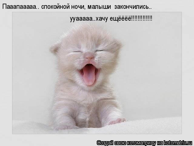 ууааааа….хачу ещёёёё!!!!!!!!!!!!! Пааапааааа….«спокойной ночи, малыши» закончились….... Котоматрица: ууааааа….хачу ещёёёё!!!!!!!!!!!!! Пааапааааа….«спокойной ночи, малыши» закончились….