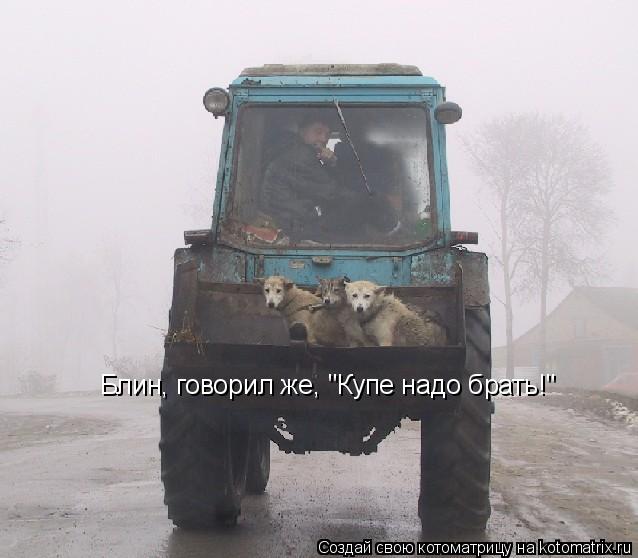 Блин, говорил же, "Купе надо брать!"... Котоматрица: Блин, говорил же, "Купе надо брать!"