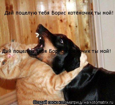 Дай поцелую тебя Борис котёночик ты мой! Дай поцелую тебя Борис котёночик ты мой!... Котоматрица: Дай поцелую тебя Борис котёночик ты мой! Дай поцелую тебя Борис котёночик ты мой!