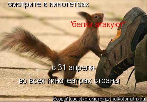 смотрите в кинотетрах "белки атакуют" c 31 апреля во всех кинотеатрах страны... Котоматрица: смотрите в кинотетрах "белки атакуют" c 31 апреля во всех кинотеатрах страны